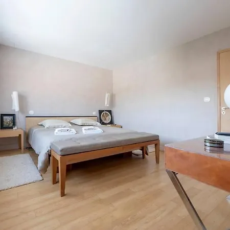 Maison D'architecte Avec Couloir De Nage - Bouscat * Le Bouscat